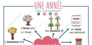 Educational infographic : Une année 📆
