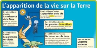 Educational infographic : Une fiche intéressante.