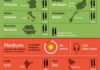 Educational infographic : What Are the Hardest Languages to Learn Infographic