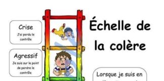 Educational infographic : Educational infographic : la colère