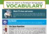 Educational infographic : language learning infographic, how to learn a language, how to learn vocabulary,…