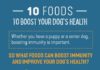 Food infographic – 10 Foods To Fight Disease In Dogs