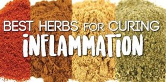 Food infographic – 10 Natural Ways to Make Muscle Pain Disapper