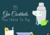 Food infographic – 15 cocktails incroyables à préparer avec du gin (infographie)