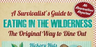 Food infographic – 17 Basic Wilderness Survival Skills Everyone Should Know