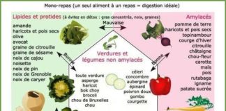 Food infographic – 2. Règles d'Or et Combinaisons Alimentaires