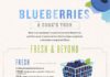Food infographic – An Extremely Helpful Chart on How to Store and Use Blueberries