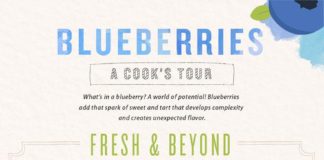 Food infographic – An Extremely Helpful Chart on How to Store and Use Blueberries