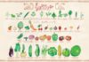 Food infographic – Cette liste des fruits et légumes de saison en France est indicative, mais non …