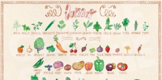Food infographic – Cette liste des fruits et légumes de saison en France est indicative, mais non …