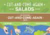 Food infographic – Cut and Come Again Crops