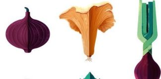 Food infographic – Dans quels pots cultiver ma Box à Planter ?