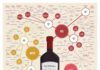 Food infographic – Different Types of Wine