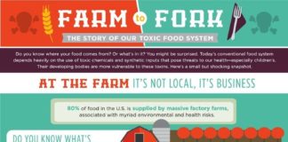 Food infographic – Do You Know Where Your Food Comes From? (Infographic)