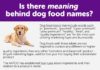 Food infographic – Dog food brands to avoid – NEVER feed this to your dog!