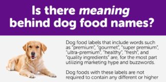 Food infographic – Dog food brands to avoid – NEVER feed this to your dog!