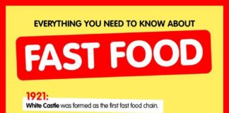Food infographic – Food infographic – Everything You Need to Know About Fast Food Infographic