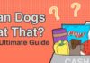 Food infographic – Food infographic – Human food for dogs: Can my dog eat that? We created this guide to help you beat…