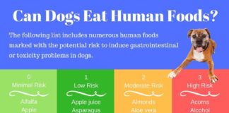 Food infographic – Freshpet Select Fresh From the Kitchen – Refrigerated Wet Dog Food – 1.75lb