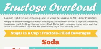 Food infographic – Fructose Overload Infographic