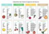 Food infographic – Fruits et légumes