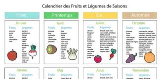 Food infographic – Fruits et légumes