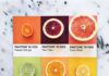 Food infographic – Gourmet and Colorful Pantone Food Series