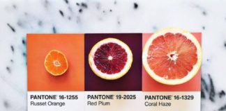 Food infographic – Gourmet and Colorful Pantone Food Series