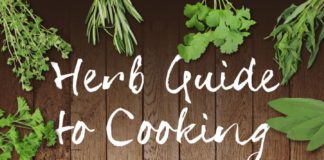 Food infographic – Herb Guide for cooking