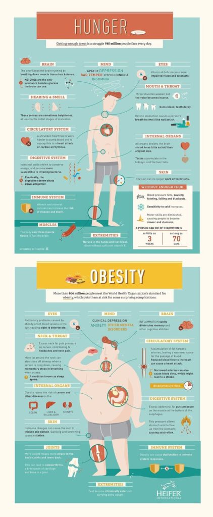 Food infographic - How do hunger and obesity affect the body? Our ...