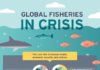 Food infographic – INFOGRAPHIC: Why our global fisheries are in crisis and how you can help…