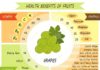 Food infographic – Illustration about Cute infographic page of Health Benefits of fruits like vitam…