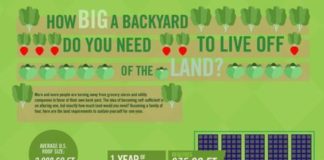 Food infographic – Infographic: How Much Backyard Is Needed To Feed A Family of Four?