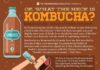 Food infographic – Infographic: OK, so what the heck is kombucha?