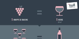 Food infographic – Infographie des équivalence du vin (Twil The Wine I Love)