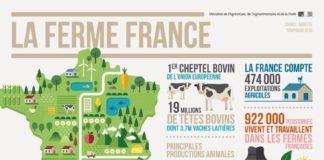 Food infographic – Ministère de l'Agriculture : infographie sur la Ferme France, les chiffres …