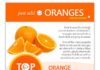 Food infographic – Oranges for Dogs 101 – Can Dogs Eat Them?