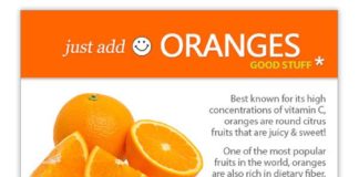Food infographic – Oranges for Dogs 101 – Can Dogs Eat Them?