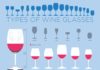 Food infographic – Quel type de verre à vin dois-je acheter pour recevoir ?