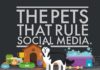 Food infographic – The Pets That Rule Social Media #Infographic
