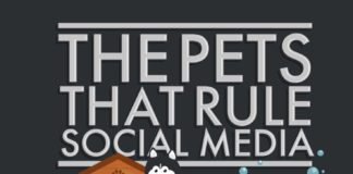 Food infographic – The Pets That Rule Social Media #Infographic