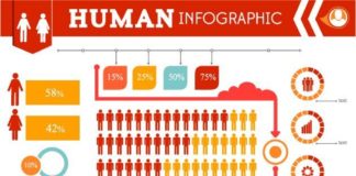 Food infographic – The Super Premium Infographics Bundle for a smooth communication – Only $19