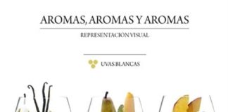 Food infographic – This is so neat for those that do t know about the aromas.