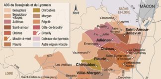 Food infographic – Vins du beaujolais et lyonnais : vignoble et appellations – hachette-vins.com
