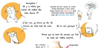 Management : Extrait 2 : accueillir une émotion