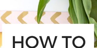 Management : How to Avoid Distractions and Get More Done