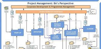 Management : Management : Business Analysis Illustrated…
