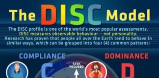 Management : Management : disc infographic