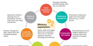 Management : Talent management strategy in an efficiency organization
