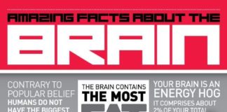 Psychology : 15 #datos #asombrosos #sobre #el #cerebro #Source: #Nancy #Connell #Home ##infografia ##infog…